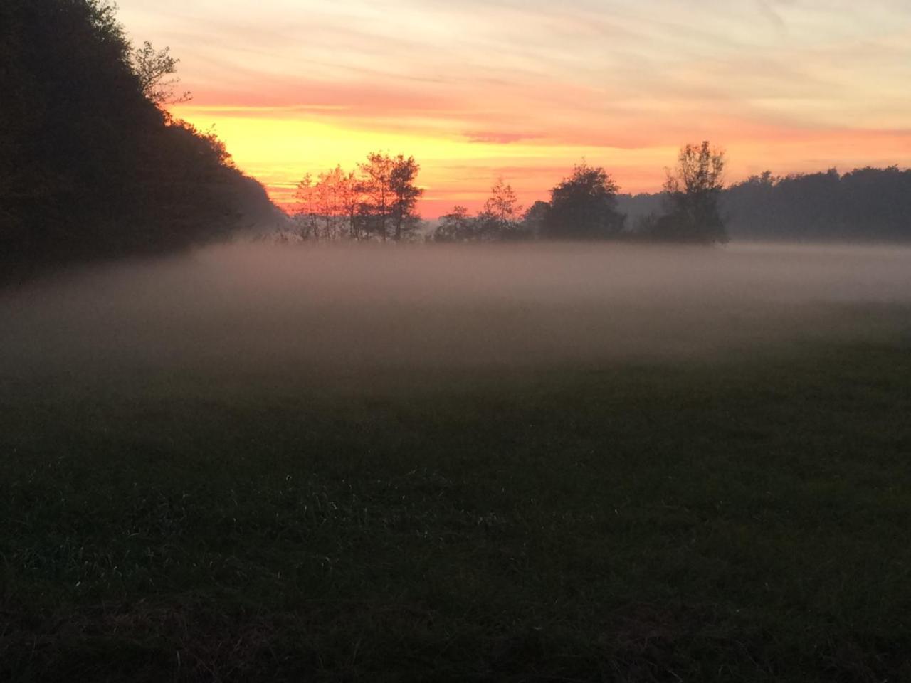 Het Koetshuis Kamperland Bagian luar foto