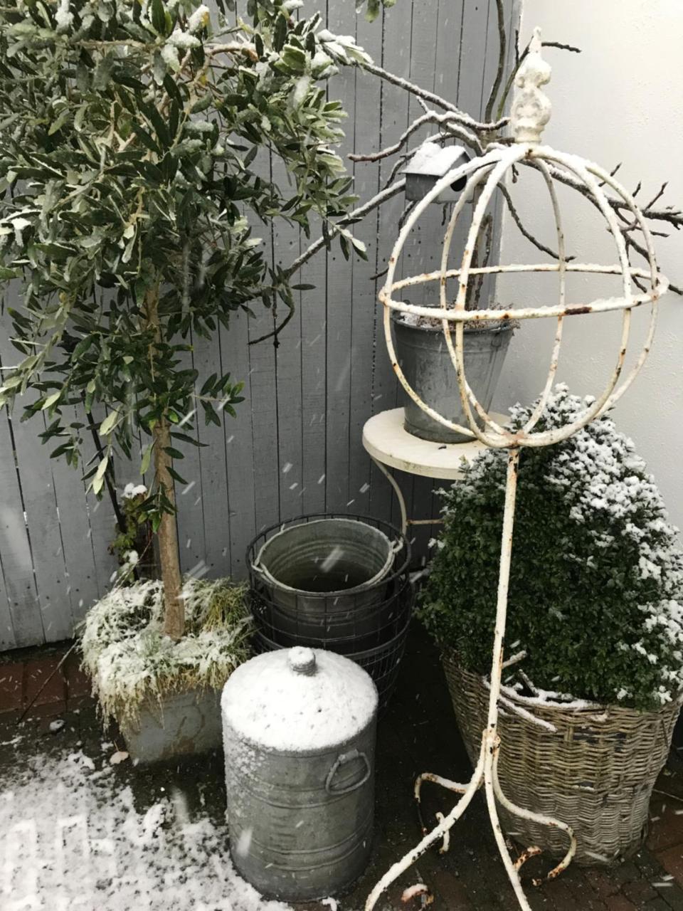 Het Koetshuis Kamperland Bagian luar foto